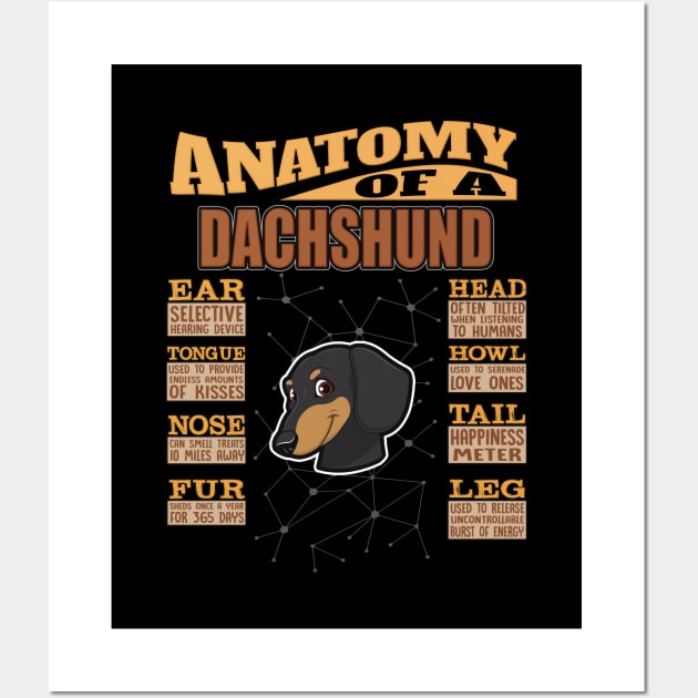 Anatomy Of A Dachshund - Dachshund Wiener,weiner,Dackel, Doxie, Weenie Dog, Wiener Dog,Hotdog, Sausage Dog,dog,face, Wall Art by HarrietsDogGifts